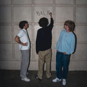 Scruff of the Neck Records Bilk Scruff of the Neck Records Bilk