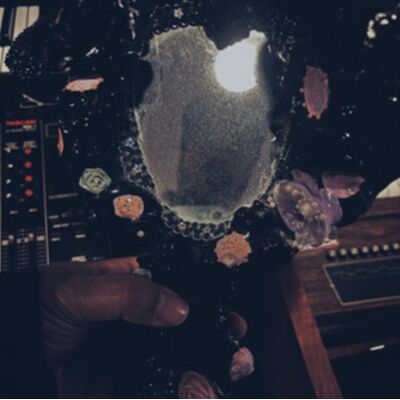 Topshelf Records Bathes And Listens Topshelf Records Bathes And Listens