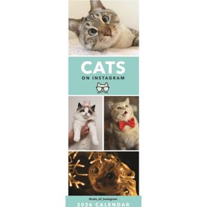 CAROUSEL CALENDARS 2026 Cats On Instagram Slim Calendar 2026 CAROUSEL CALENDARS 2026 Cats On Instagram Slim Calendar 2026