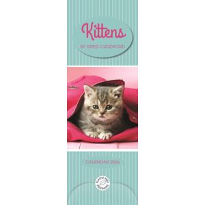 CAROUSEL CALENDARS 2026 Kittens By Greg Cuddiford Slim Calendar CAROUSEL CALENDARS 2026 Kittens By Greg Cuddiford Slim Calendar