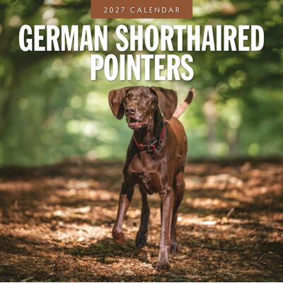 Red Robin Publishing German Shorthaired Pointers 2027 Square Wall Calendar Red Robin Publishing German Shorthaired Pointers 2027 Square Wall Calendar