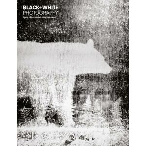 The Guild of Master Craftsmen Publications Black & White Photography