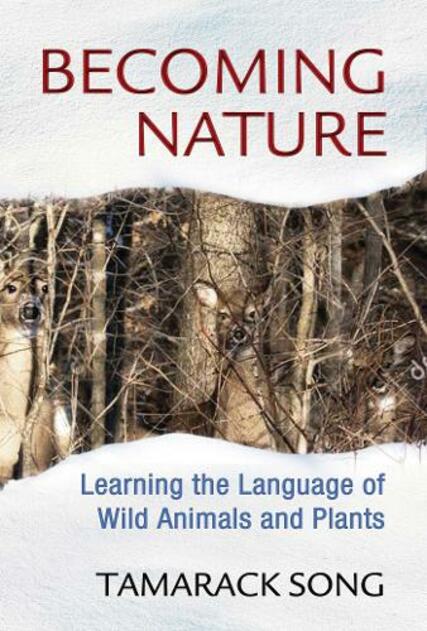 Inner Traditions Bear and Company Becoming Nature: Learning The Language Of Wild Animals And Plants