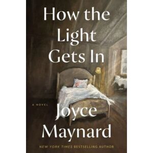 HarperCollins Publishers Inc How The Light Gets In : A Novel