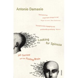 Vintage Publishing Looking For Spinoza : Joy, Sorrow And The Feeling Brain