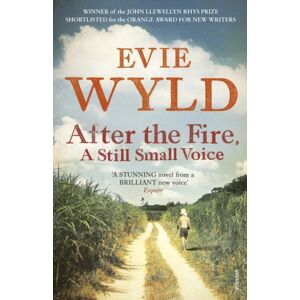 Vintage Publishing After The Fire, A Still Small Voice