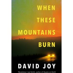 Headline Publishing Group When These Mountains Burn : The Literary Crime Thriller From The Prizewinning Master Of American Noir Fiction