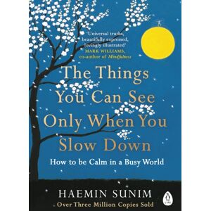 Penguin Books Ltd The Things You Can See Only When You Slow Down : How To Be Calm In A Busy World