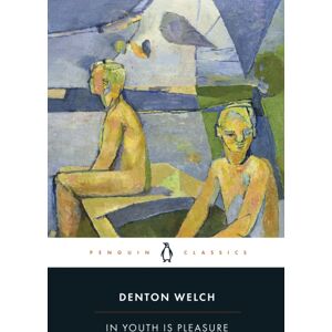 Penguin Books Ltd In Youth Is Pleasure