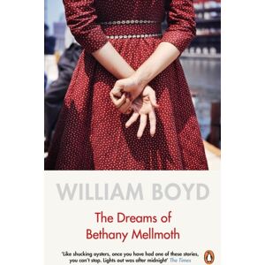 Penguin Books Ltd The Dreams Of Bethany Mellmoth