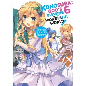 Little, Brown & Company Konosuba: God'S Blessing On This Wonderful World!, Vol. 6 (Novel)