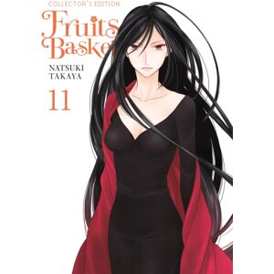 Little, Brown & Company Fruits Basket Collector'S Edition, Vol. 11