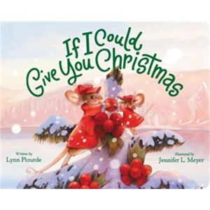 Little, Brown & Company If I Could Give You Christmas