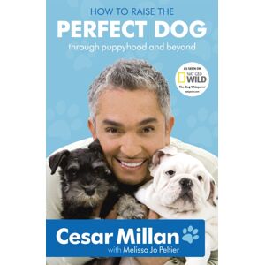 Hodder & Stoughton How To Raise The Perfect Dog