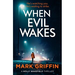 Little, Brown Book Group When Evil Wakes : The Serial Killer Thriller That Will Have You Gripped
