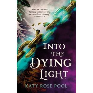 Little, Brown Book Group Into The Dying Light : Book Three Of The Age Of Darkness