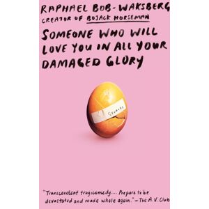 Random House USA Inc Someone Who Will Love You In All Your Damaged Glory : Stories