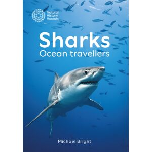 The Natural History Museum Sharks : Ocean Travellers