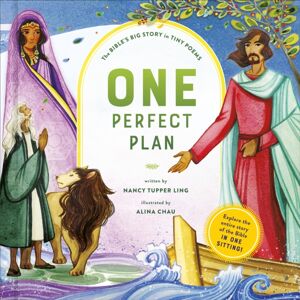 Waterbrook Press (A Division of Random House Inc) One Perfect Plan : The Bible'S Big Story In Tiny Poems