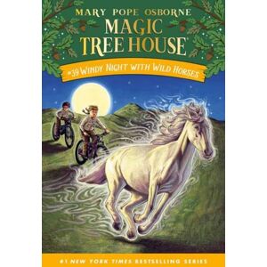 Random House USA Inc Windy Night With Wild Horses