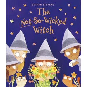 Quarto Publishing PLC The Not-So-Wicked Witch