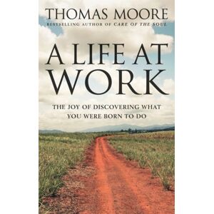 Little, Brown Book Group A Life At Work : The Joy Of Discovering What You Were Born To Do