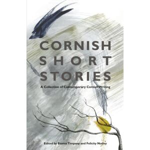 The History Press Ltd Cornish Short Stories : A Collection Of Contemporary Cornish Writing