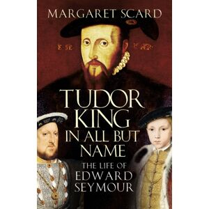 The History Press Ltd Tudor King In All But Name : The Life Of Edward Seymour
