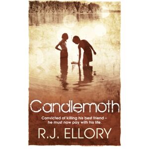 Orion Publishing Co Candlemoth