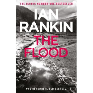 Orion Publishing Co The Flood : From The Iconic #1 selling Author Of A Song For The Dark Times