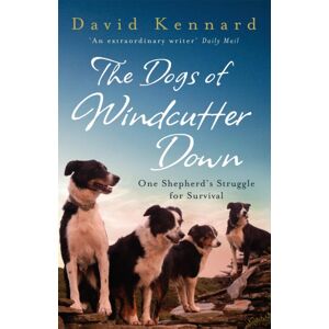 Headline Publishing Group The Dogs Of Windcutter Down