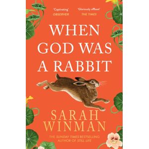 Headline Publishing Group When God Was A Rabbit : From The selling Author Of Still Life