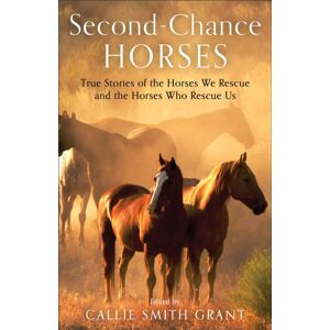 Baker Publishing Group Second–chance Horses – True Stories Of The Horses We Rescue And The Horses Who Rescue Us