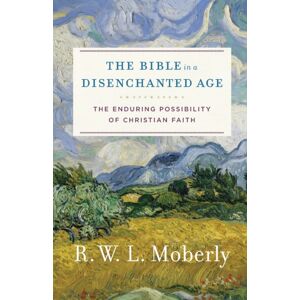 Baker Publishing Group The Bible In A Disenchanted Age : The Enduring Possibility Of Christian Faith