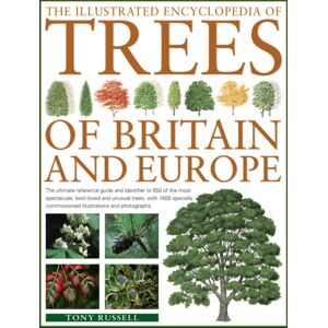 Anness Publishing The Illustrated Encyclopedia Of Trees Of Britain And Europe : The Ultimate Reference Guide And Identifier To 550 Of The Most Spectacular, -Loved And Unusual Trees, With 1600 Specially Commissioned