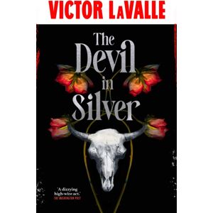 Transworld Publishers Ltd The Devil In Silver