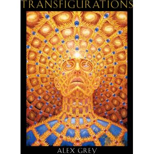 Inner Traditions Bear and Company Transfigurations