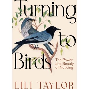 Pan Macmillan Turning To Birds : The Power And Beauty Of Noticing