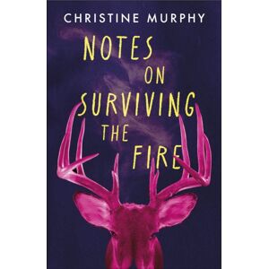 Headline Publishing Group Notes On Surviving The Fire : A Razor-Sharp, Darkly Funny Literary Novel About Male Violence, A Woman'S Vengeance, And Whether Killing Can Ever Be Justified