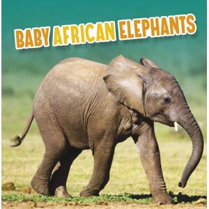 Capstone Global Library Ltd Baby African Elephants