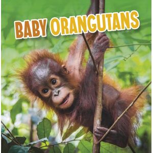 Capstone Global Library Ltd Baby Orangutans