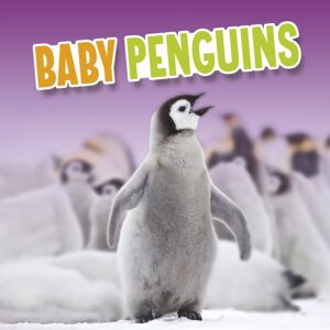 Capstone Global Library Ltd Baby Penguins