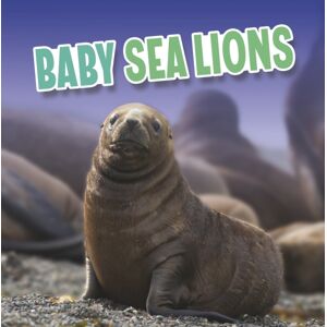 Capstone Global Library Ltd Baby Sea Lions