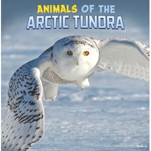 Capstone Global Library Ltd Animals Of The Arctic Tundra