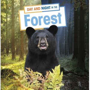 Capstone Global Library Ltd Day And Night In The Forest