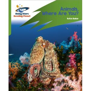 Hachette Learning Reading Planet: Rocket Phonics – Target Practice – Animals, Where Are You? – Green