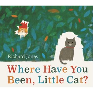 Simon & Schuster Ltd Where Have You Been, Little Cat? : A Sunday Times Children'S Book Of The Week