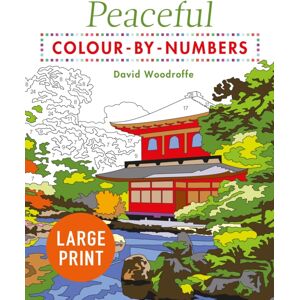 Arcturus Publishing Ltd Large Print Peaceful Colour-By-Numbers