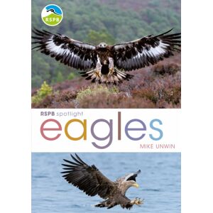 Bloomsbury Publishing PLC Rspb Spotlight: Eagles