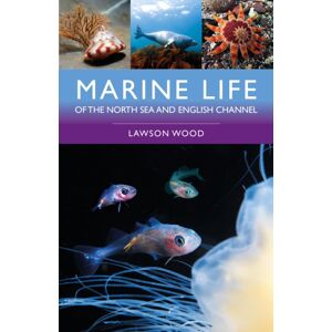 Bloomsbury Publishing PLC Marine Life Of The North Sea And English Channel